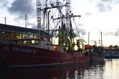 BaldEagleBoat