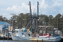 BlueFinBoat