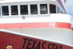 TexasStar2